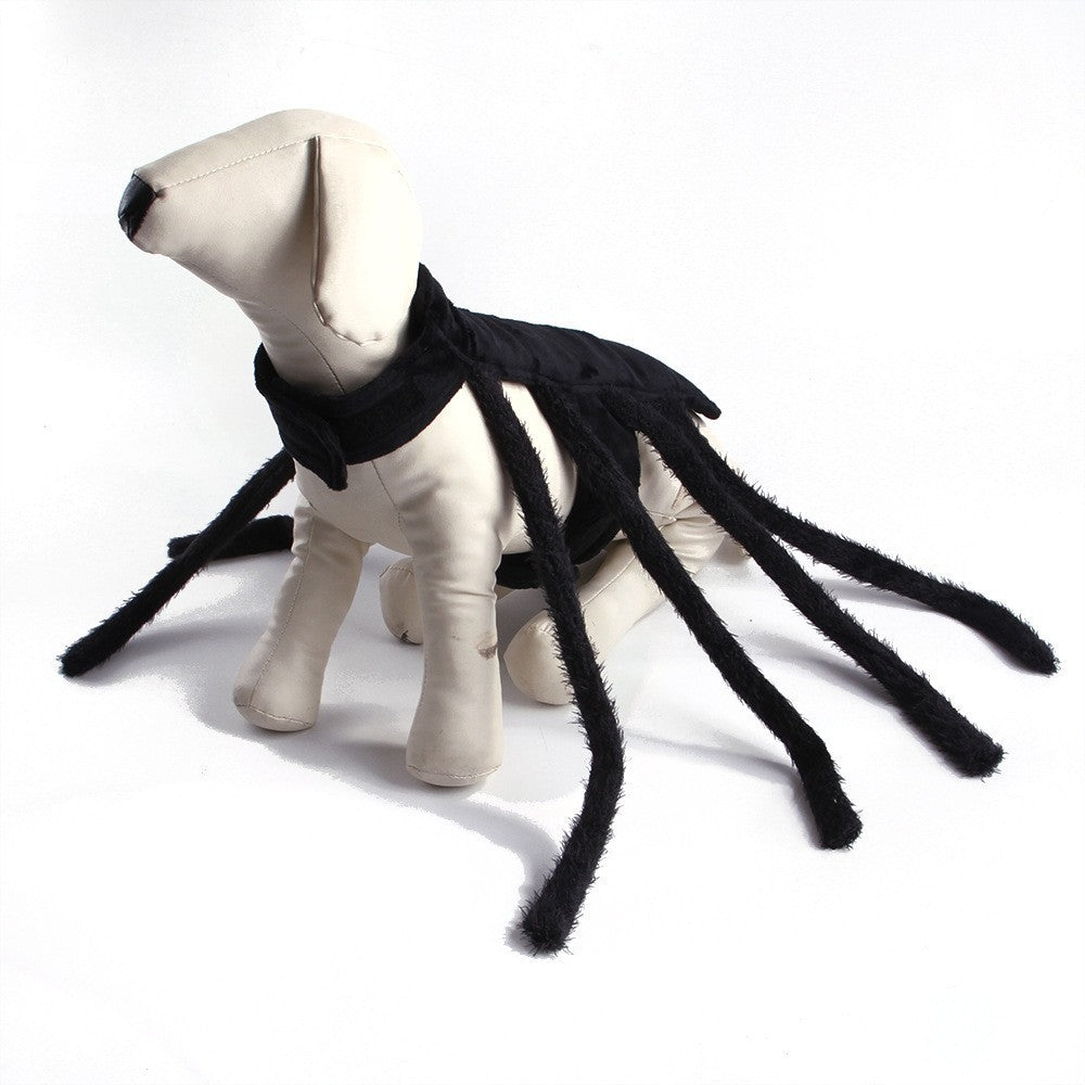 Creepy Crawly Spider Costume for Dogs & Cats