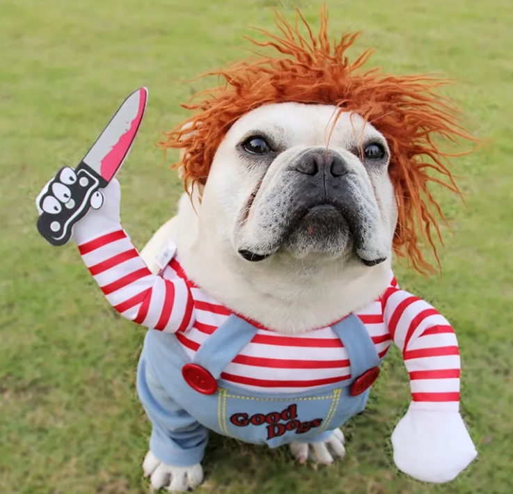 Scary-Cute Dog Costume – Killer Doll or Cowboy Rider