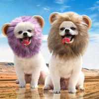 Halloween Ghost Lion Pet Transformation