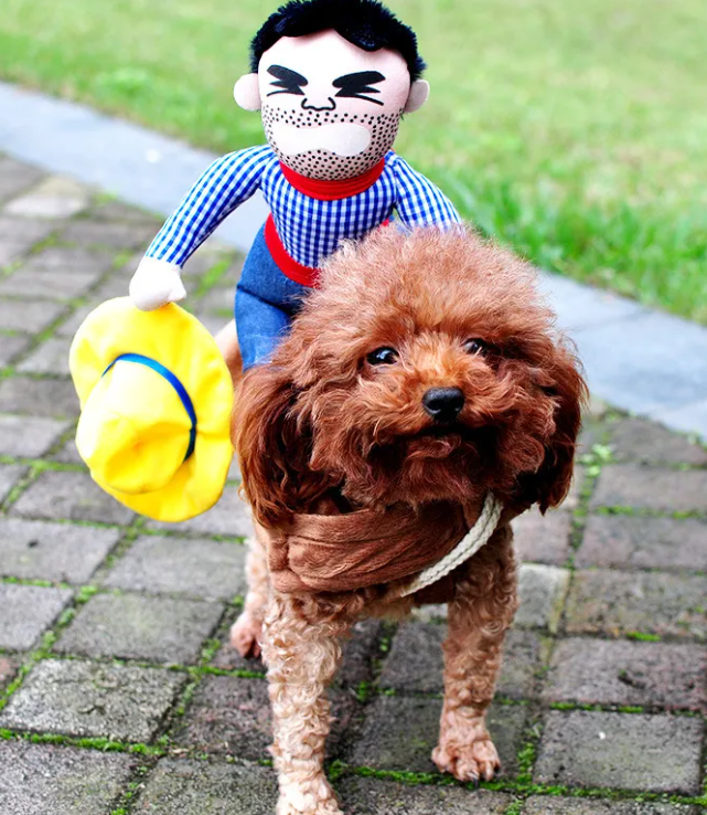Scary-Cute Dog Costume – Killer Doll or Cowboy Rider