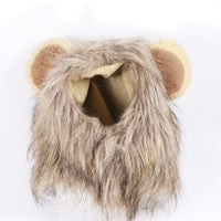 Halloween Ghost Lion Pet Transformation