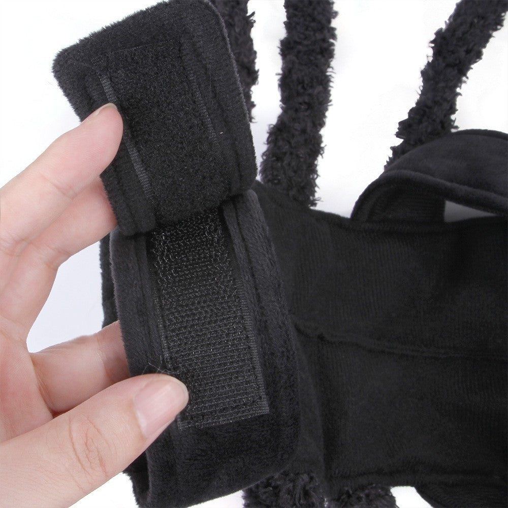 Creepy Crawly Spider Costume for Dogs & Cats